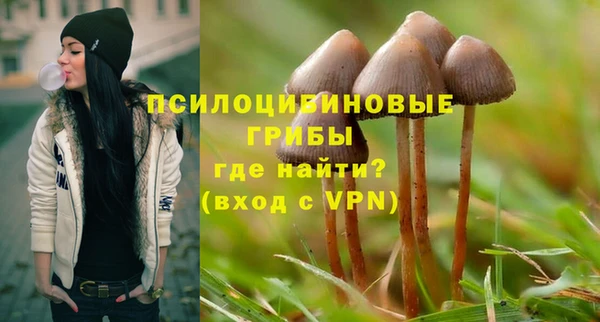 mdpv Бородино
