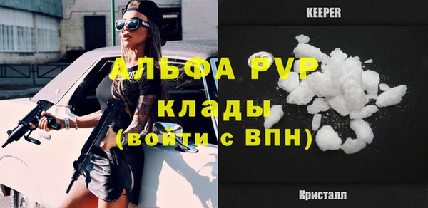 mdpv Бородино