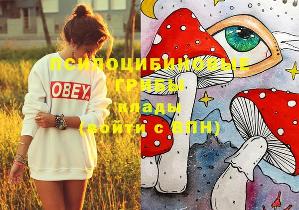 прущая мука Бронницы