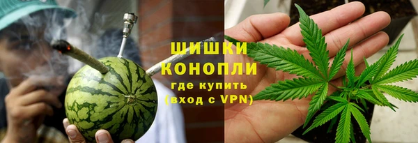 mdpv Бородино