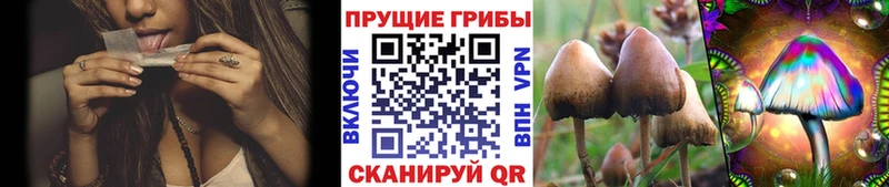 Псилоцибиновые грибы Magic Shrooms  Медногорск 