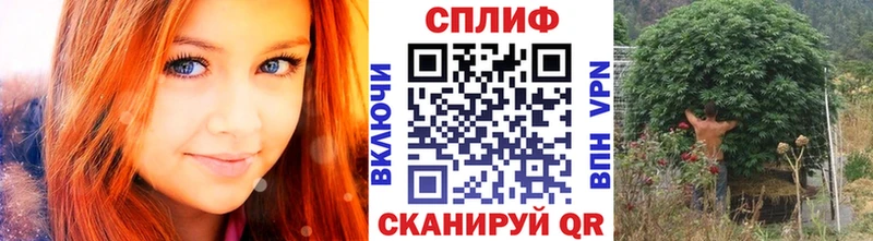 Каннабис сатива  Медногорск 